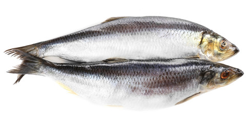 Fresh fish isolated on white