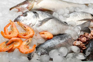 Fresh fish and other seafood on ice