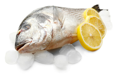 Fresh fish with ice isolated on white