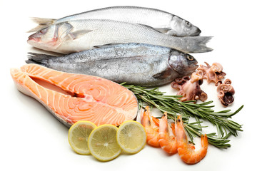 Fresh catch of fish and other seafood isolated on white