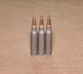 The standing cartriges 308 Winchester caliber