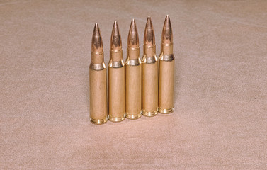 The standing cartriges 308 Winchester caliber