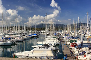 Foto op Canvas yachts and boats in marina harbour  © William Richardson