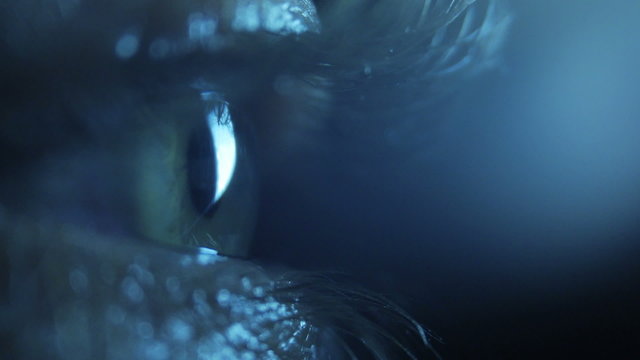 Pupil in the dark, close up
