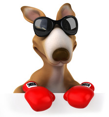 Fun kangaroo © Julien Tromeur