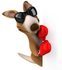 Fun kangaroo © Julien Tromeur