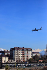 Fototapeta premium landing of airplane in Adler's airport