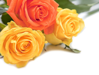 roses fleurs jaune et orange