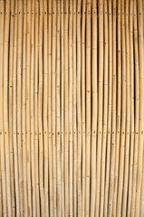 wall bamboo