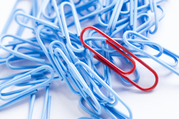 collection of paperclips in various colours