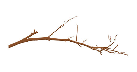 Dead Tree Branch Element