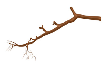 Dry Tree Branch Element