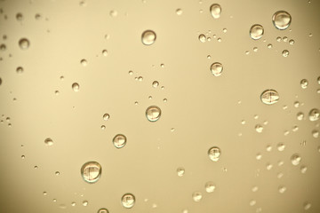 water drops on the window