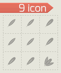 Vector black feather icon set