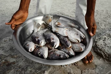 Photo sur Plexiglas Caraïbes le pêcheur montre sa prise