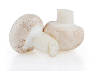 Mushrooms isolated on white background with clipping path