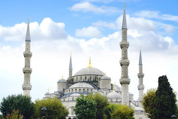Fototapeta na wymiar Blue Mosque. Istanbul, Turkey