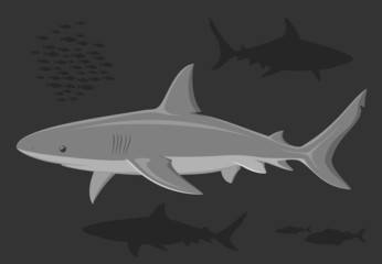 Sharks in the deep sea.