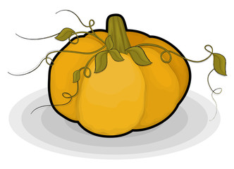 Floral Pumpkin Design Art Vector