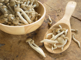 shimeji mushroom