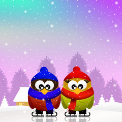 Owls skating on ice