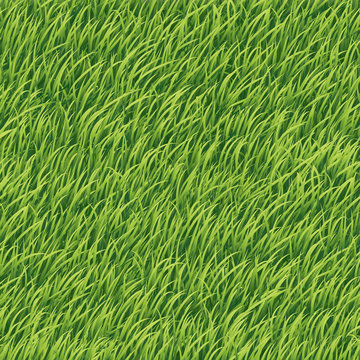 grass background