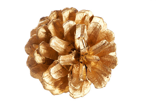 Gold Plated Pine Cone Macro Isolated