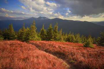 alpine autumn in Gorgany