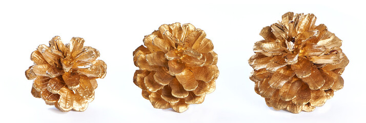 Gold plated pine cones macro isolated