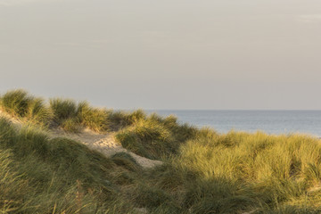 Dunes in early morning light