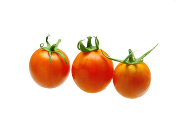 tomato on white background