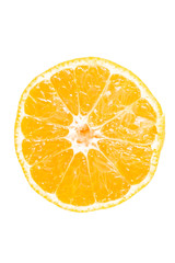 Orange fruit isolated