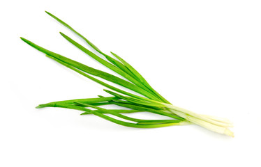 Green Onion