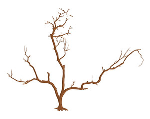 Dead Tree Stem