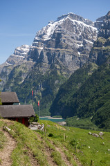Schweizer Alpen - 73415074