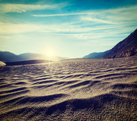 Sand dunes. Nubra valley, Ladakh, India