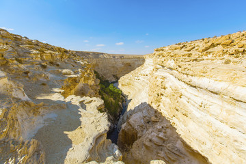landscape of the gorge