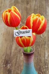 Gracias card ( thank you in Spanish) with red and yellow tulips