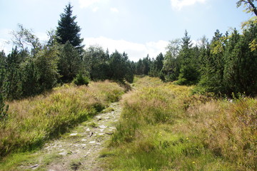 Fototapeta na wymiar Bergwanderweg