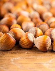 Dried whole tree nuts close-up