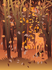 Stag in Autumn Forest