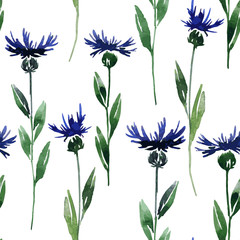 seamless pattern with cornflowers