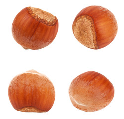 Hazelnut