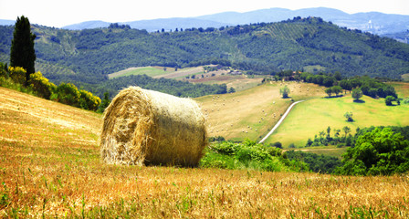 pictorial rural landscapes of Tuscany, Italy