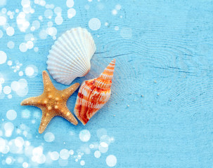 Shells