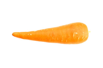 Ripe Carrot on White Background