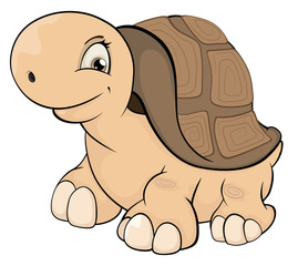 Turtle cartoon