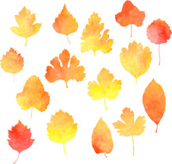 set of silhouettes by leaves in watercolor