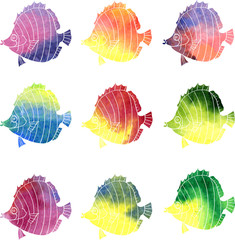 set of different fish painted by watercolor