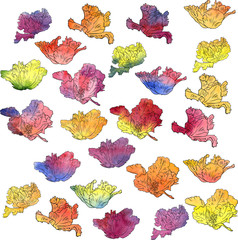 flowers painted by watercolor